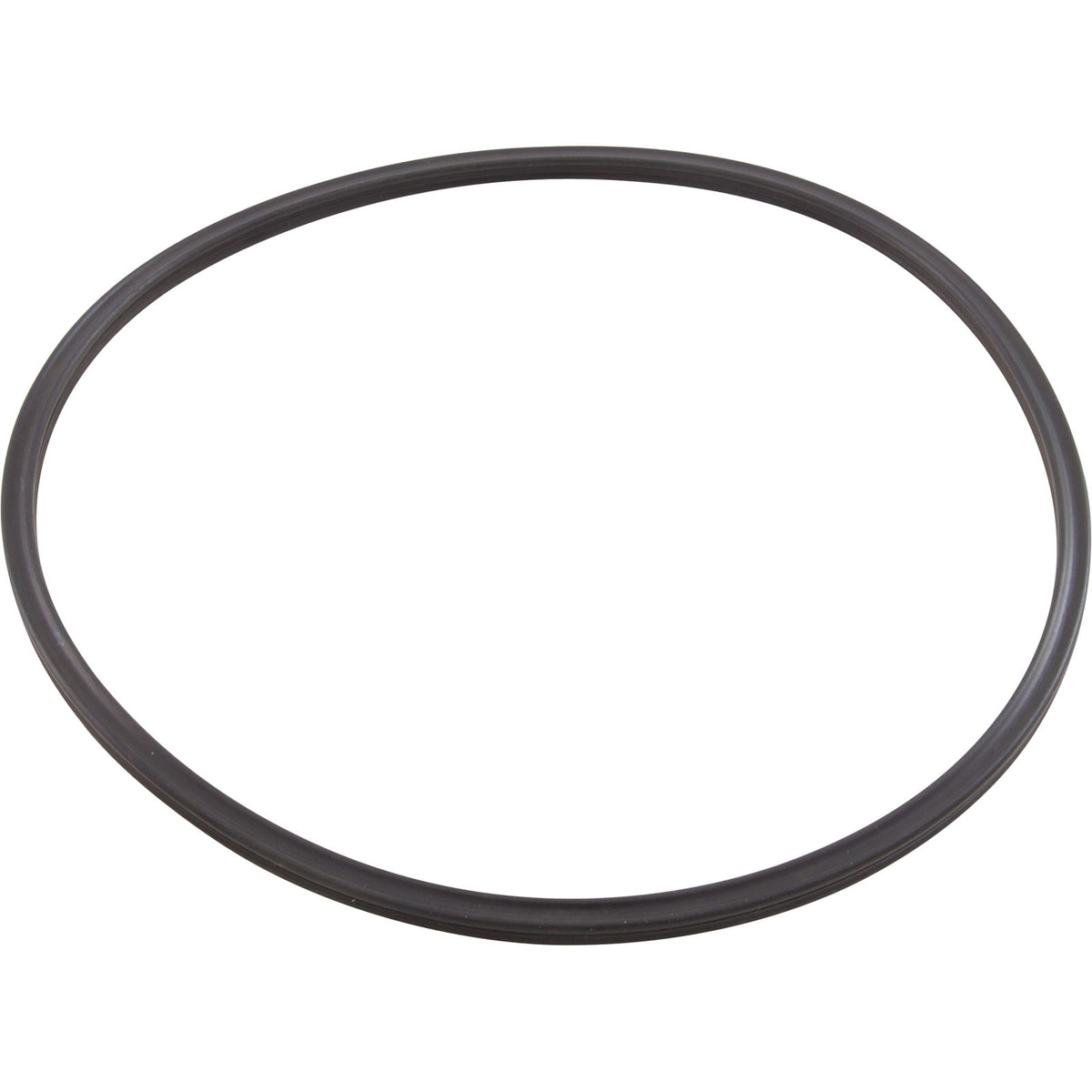Quad Ring, Pentair Tagelus/Triton II, Valve Adapter : 152516