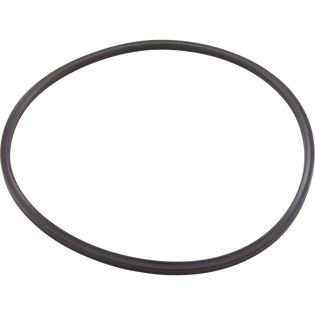 Quad Ring, Pentair Tagelus/Triton II, 6-5/16"ID, Valve Adapter : 152516Z - Pentair - 788379913731 - PartsForSpas.com