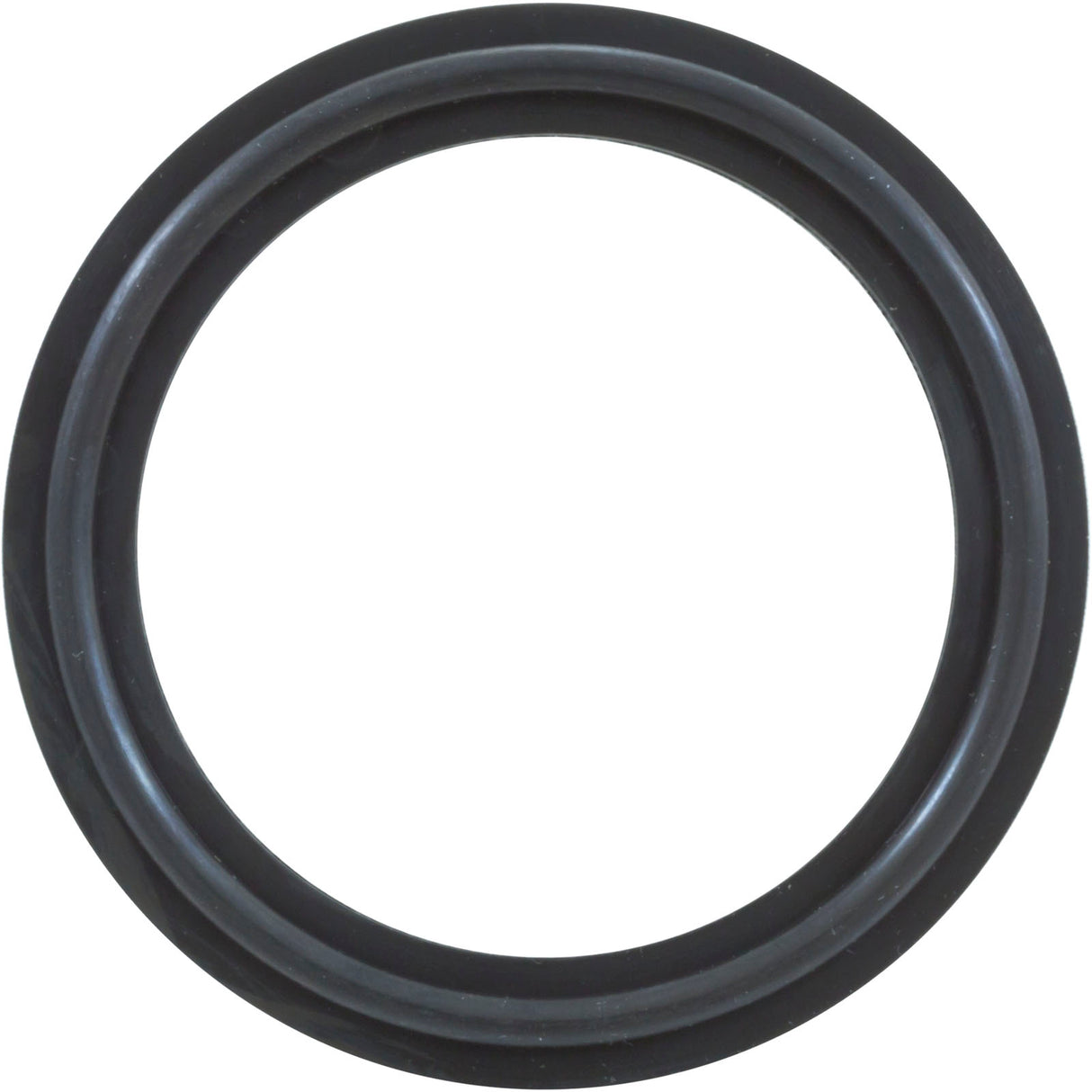 O-Ring/Gasket, Magic 2", Heater, Black : 0301229WSINGLE