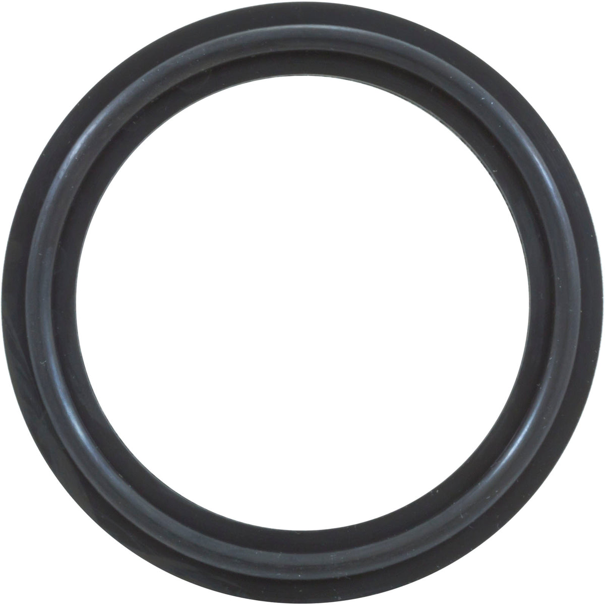O-Ring/Gasket, 12 Pack, Magic 2", Heater, Black : 0301-229W-12