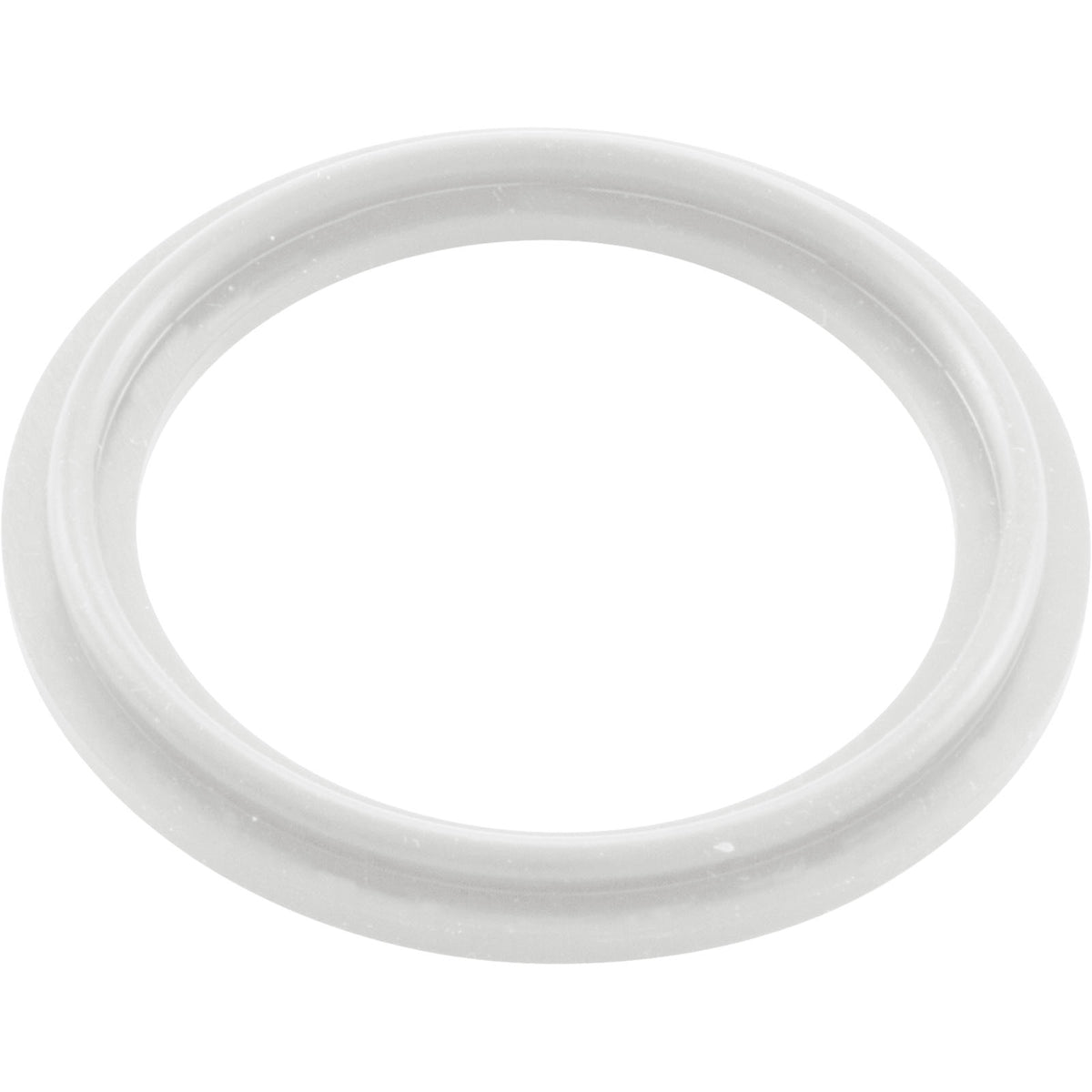 O-Ring/Gasket, Waterway 2", Heater : 711-4030