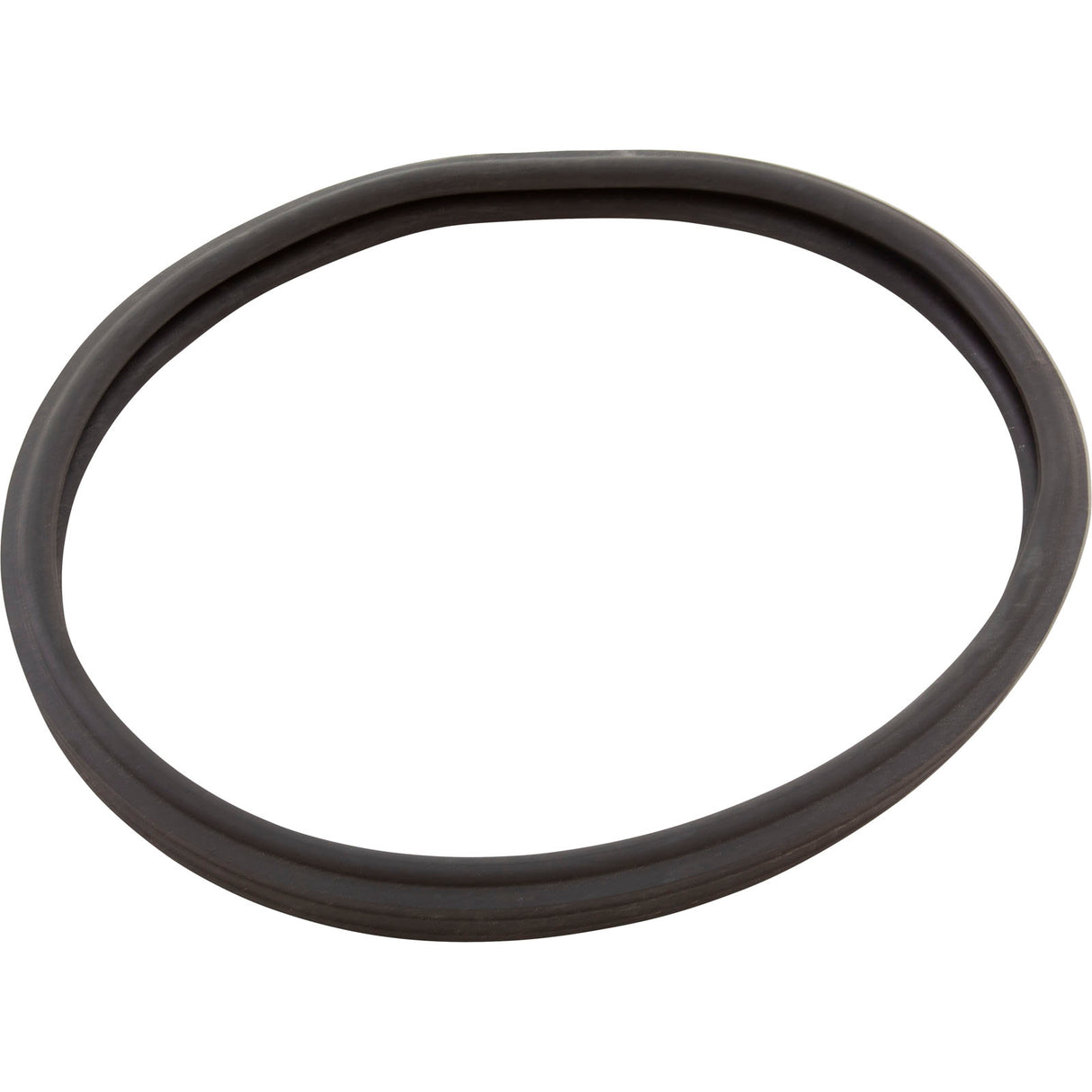 Gasket, AmerLite/SAM Light, Lens, Generic :