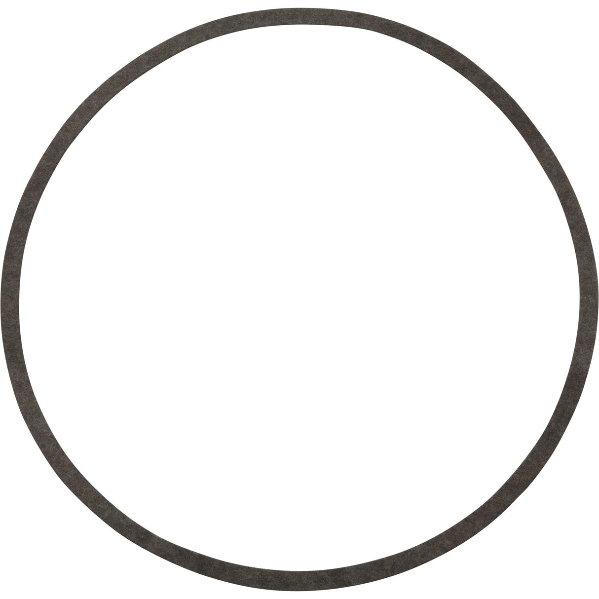 Gasket, Sta-Rite N20-39, Pump, G-52 : G-52