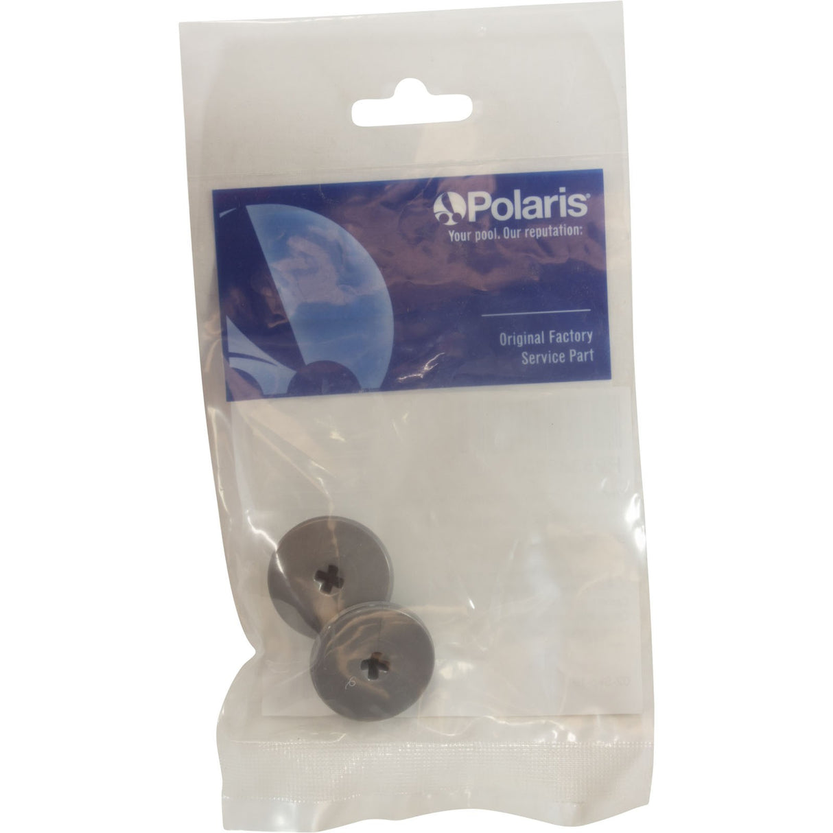 Retainer Screw, Zodiac Polaris Quattro™ P40/Sport, Slvr, 2 Pk : R0838800
