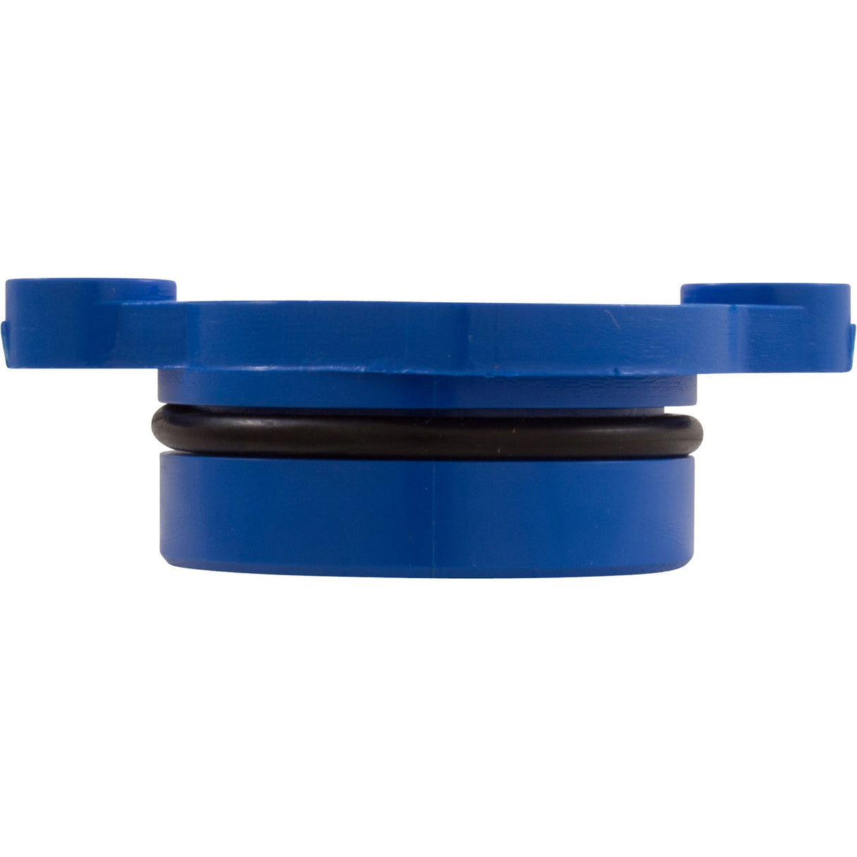 Bearing, Pentair L79BL Cleaner, Lower, with O-Ring : LG30B