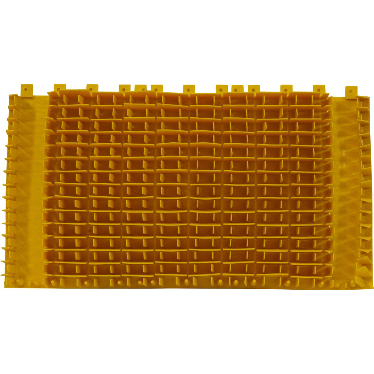 Brush Combination, Maytronics Dolphin Interactive, Yellow : 6101665