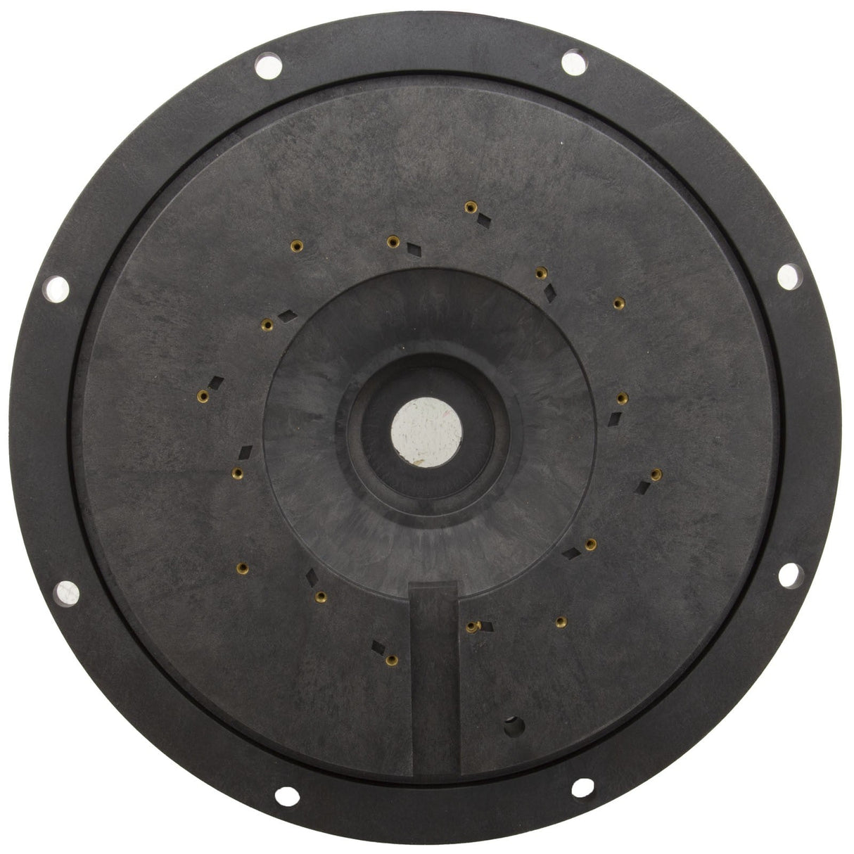 Seal Plate Only, Hayward HCP : HCXP6017A