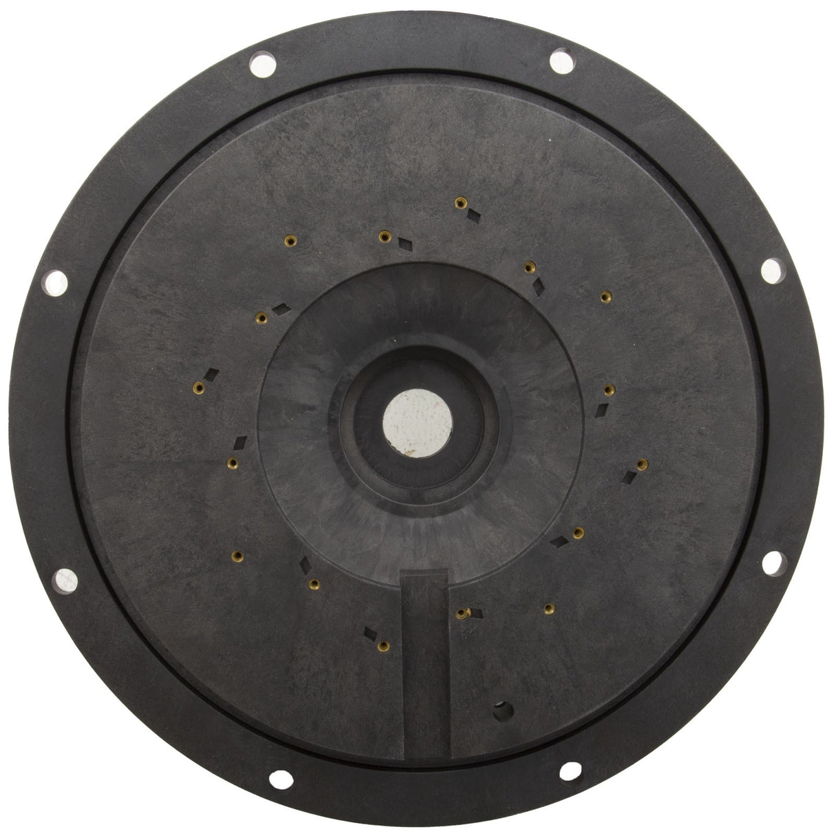 Seal Plate Only, Hayward HCP : HCXP6017A