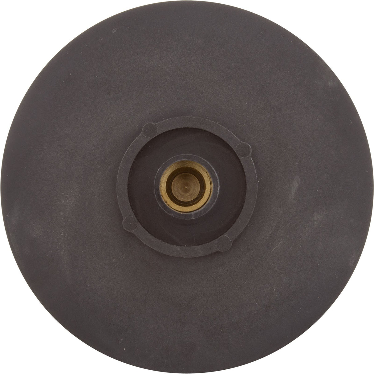 Impeller, Raypak Protege RPAGP150/152 : 018251F