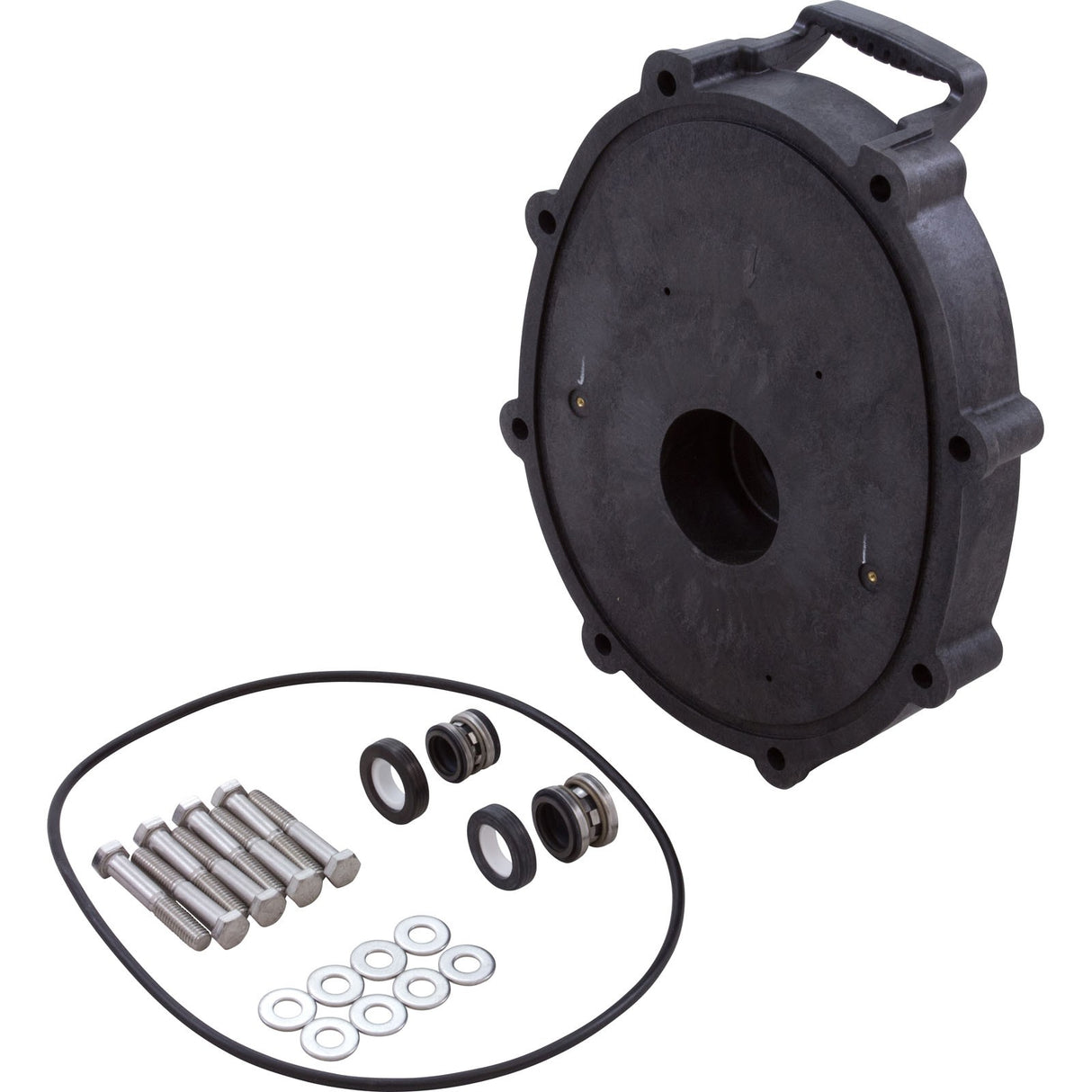 Seal Plate, Zodiac/Jandy Pro Series, w/Hardware : R0445201