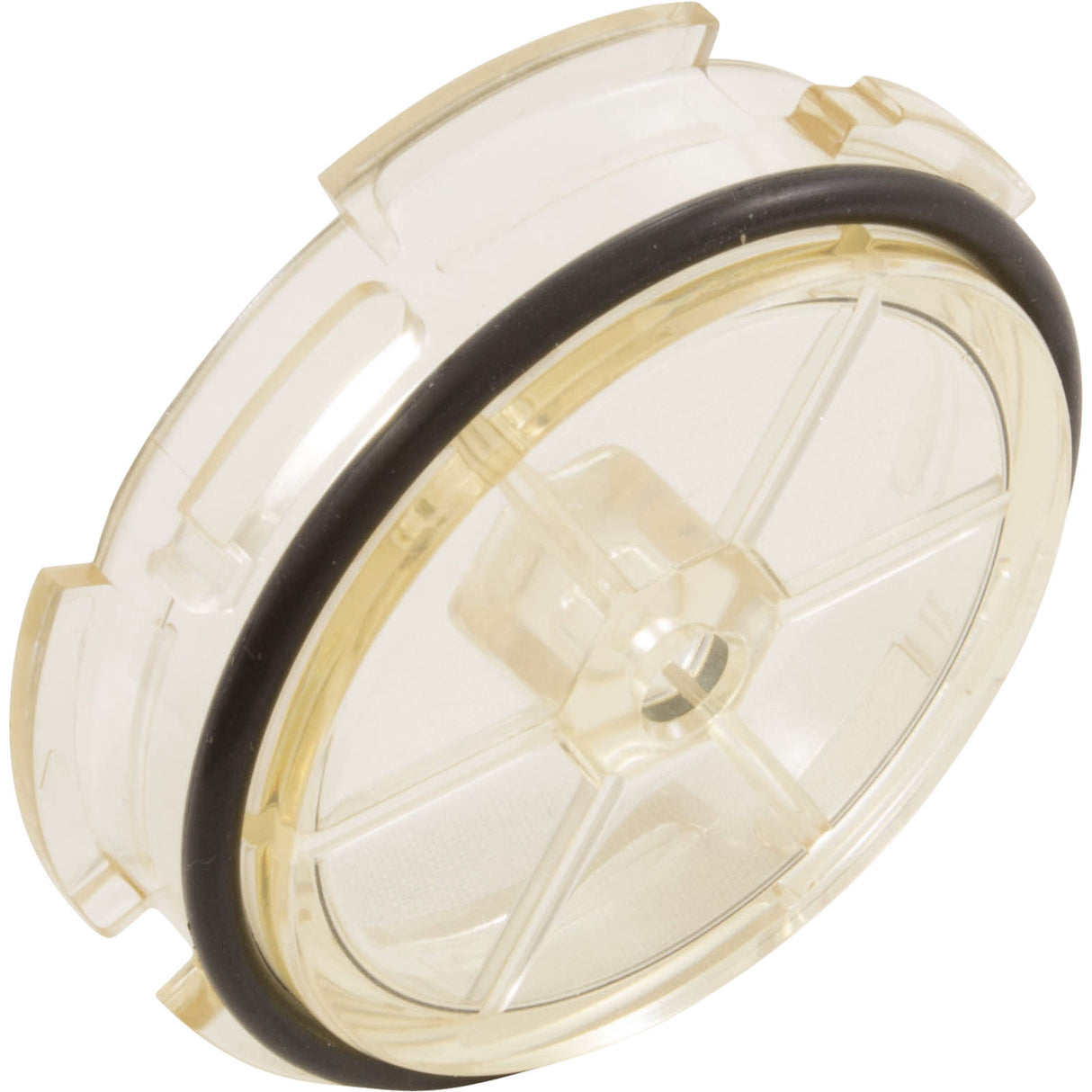 Lens-Clear And Oring : CAX-20204 - Hayward - 0761418012756 - PartsForSpas.com