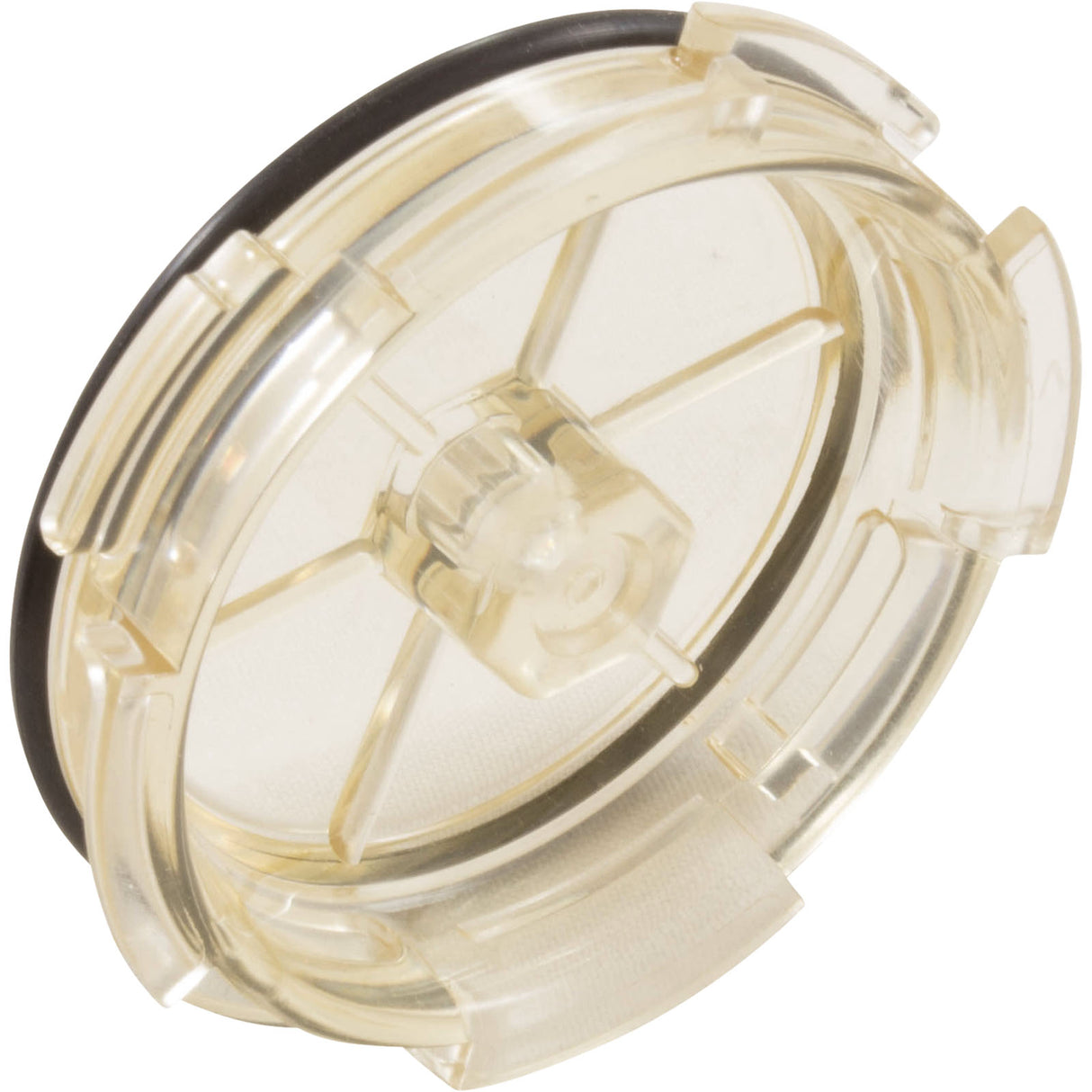 Lens-Clear And Oring : CAX-20204 - Hayward - 0761418012756 - PartsForSpas.com