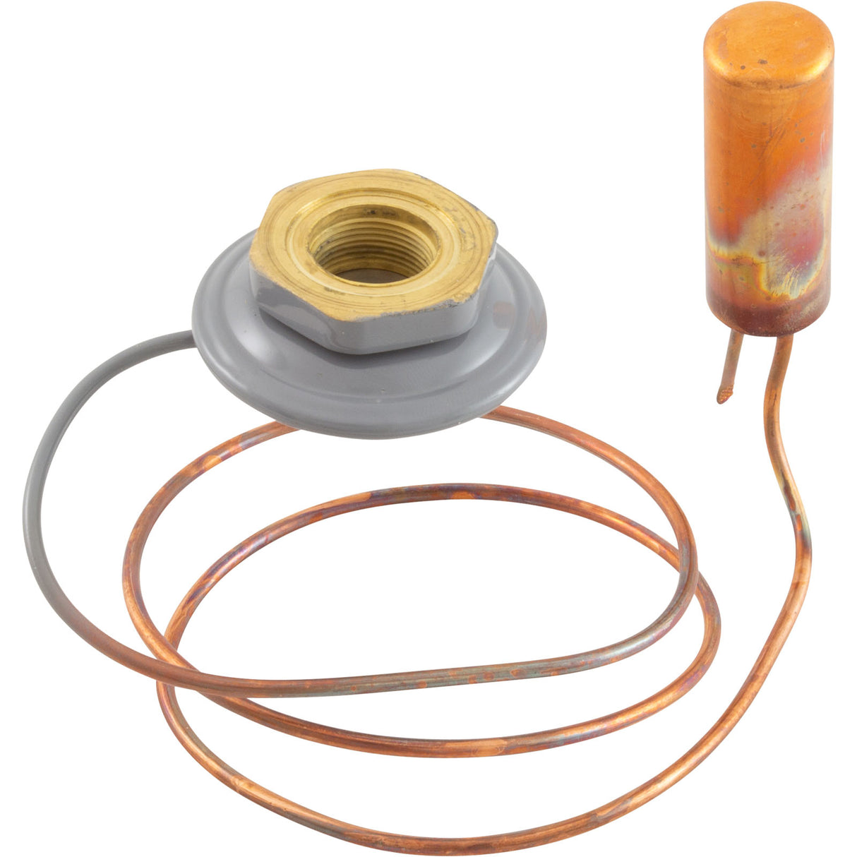 Repl Thermostatic Elemnt Kt-45-Zga : HPX15026203 - Hayward - 0610377143493 - PartsForSpas.com