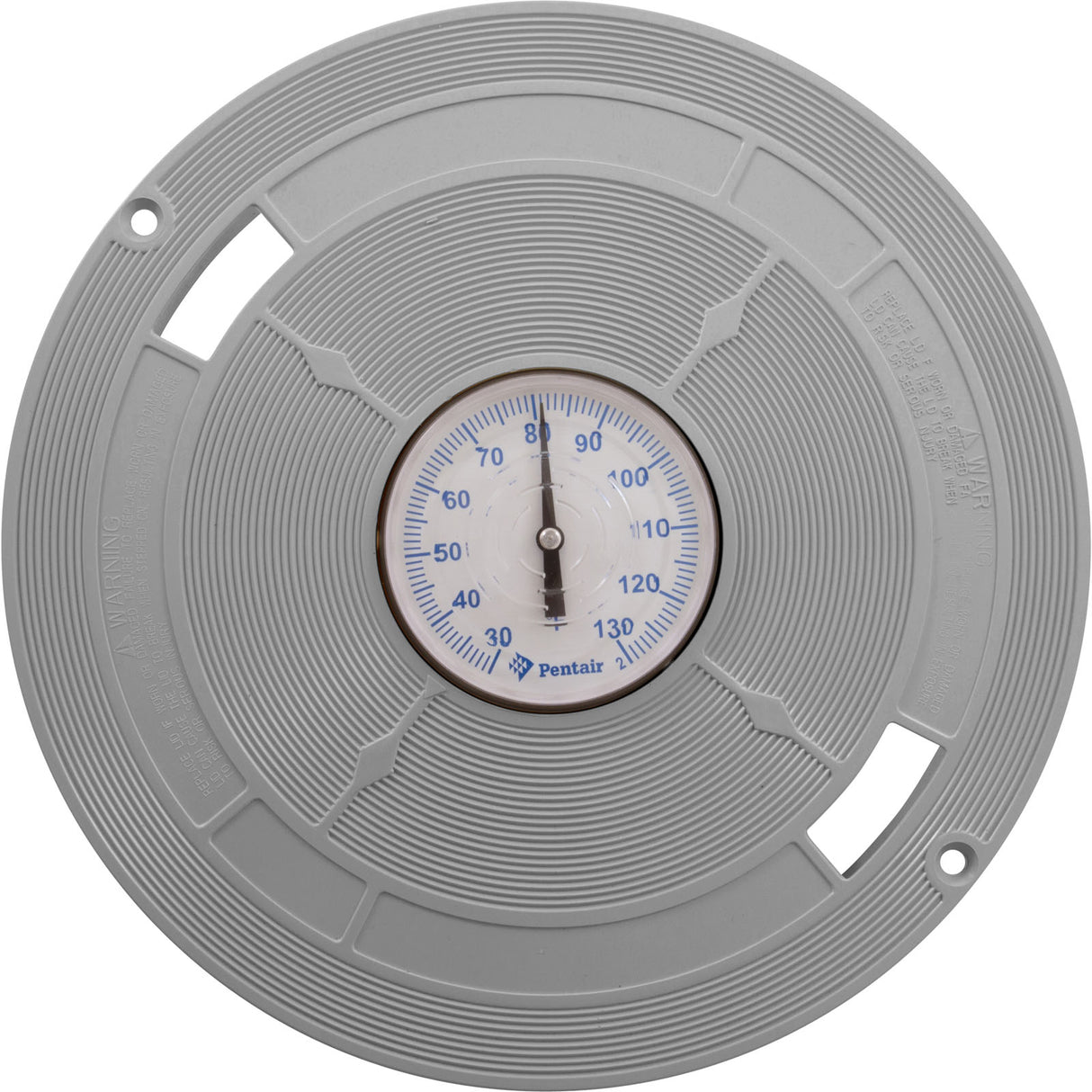 Lid Skmr W/Therm Std Gry : L1G - Pentair - L1G - PartsForSpas.com