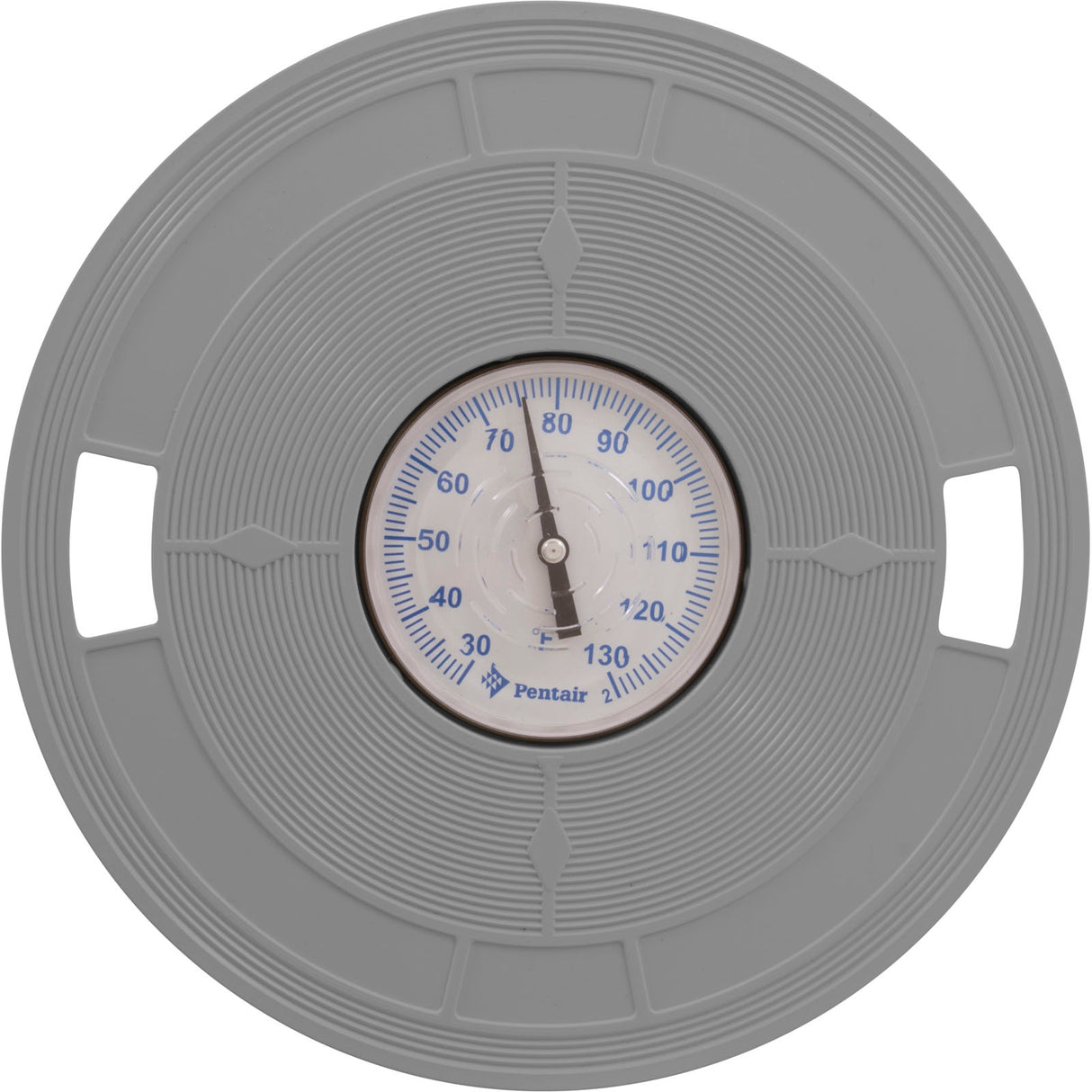 Lid Skmr W/Therm Gry : L4G - Pentair - L4G - PartsForSpas.com