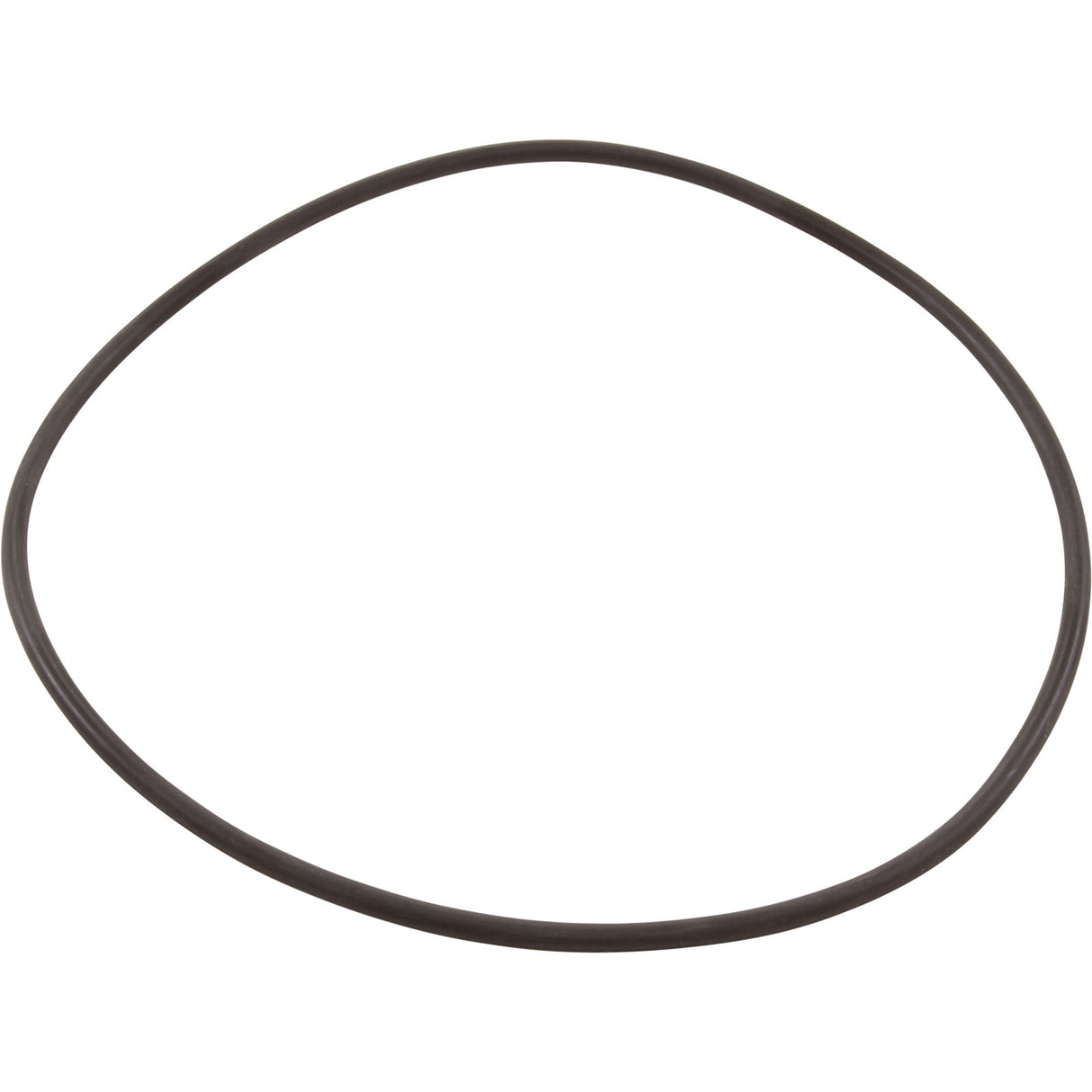 Zodiac Nature2 Professional G / M / A Vessel O-Ring For 1 Pi : W13061