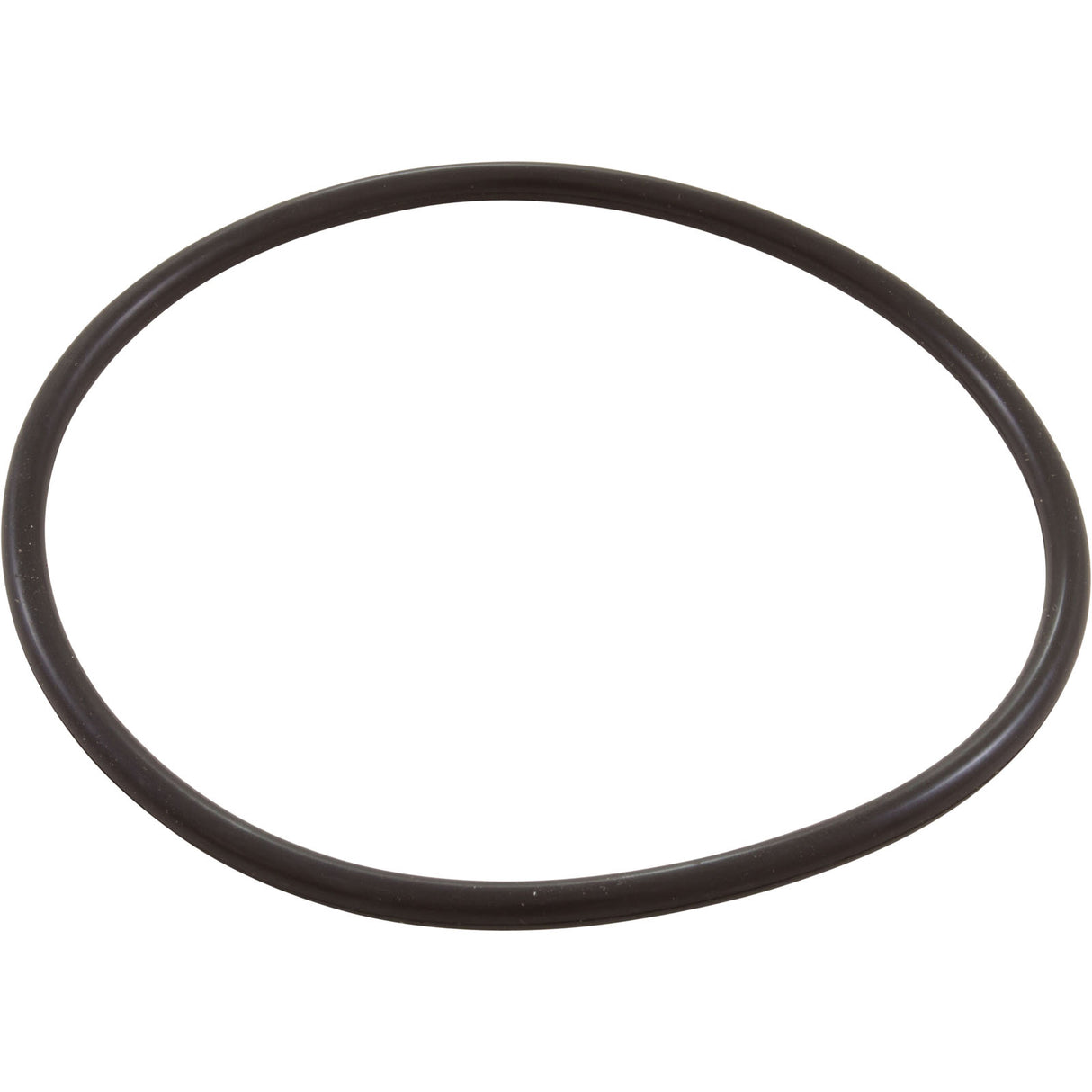Zodiac Nature2 Pro G Plus Chlorine Chamber O-Ring : W13068