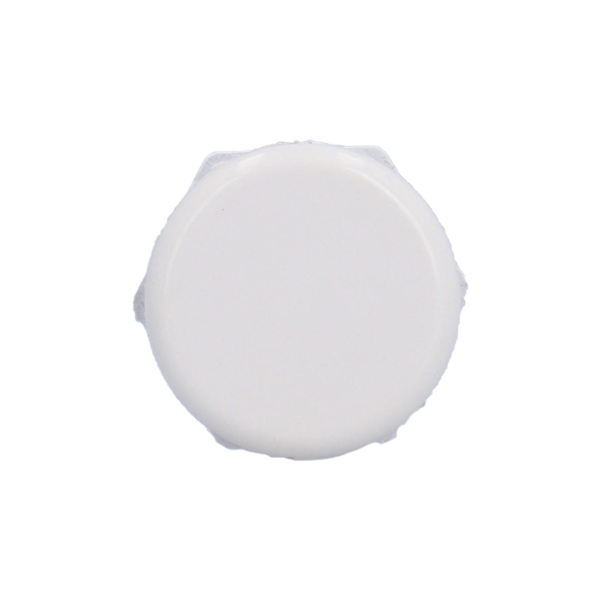 Air Injector, Waterway Lo-Profile, 3/4"S x 1" Spg, White : 670-2150