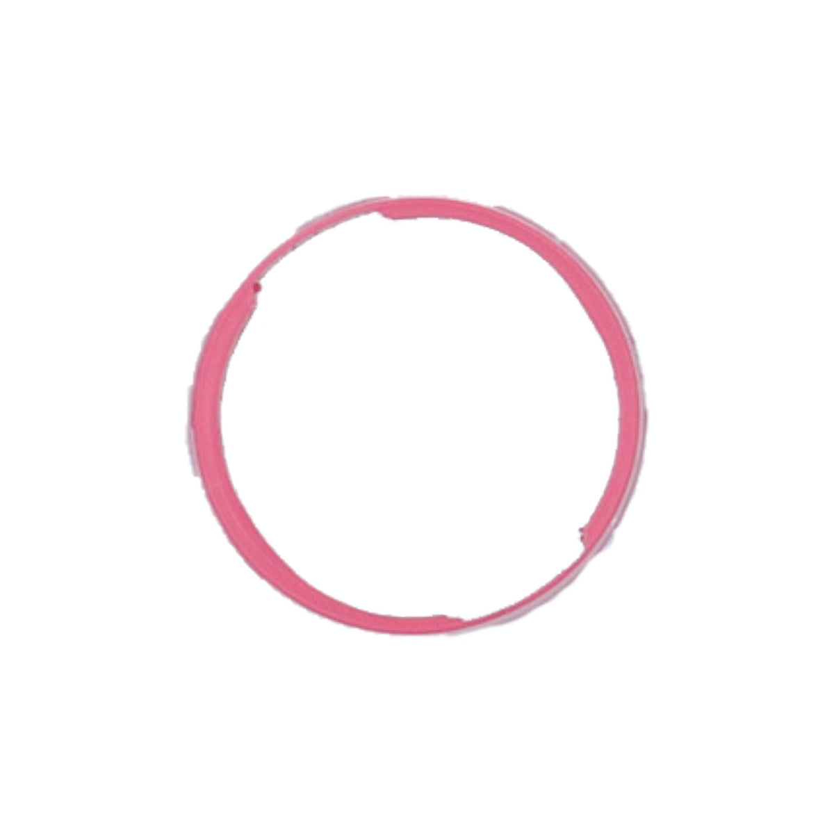 Adapter Ring, Nature2 Cartridge For Hot Springs : 01-63-13001