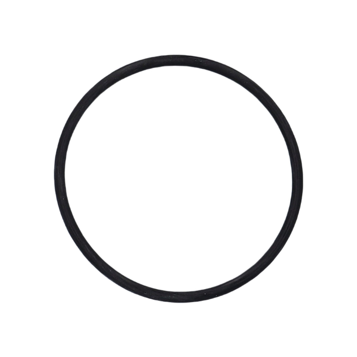 O-Ring, Union, Waterway, 2-1/2" : 805-0232