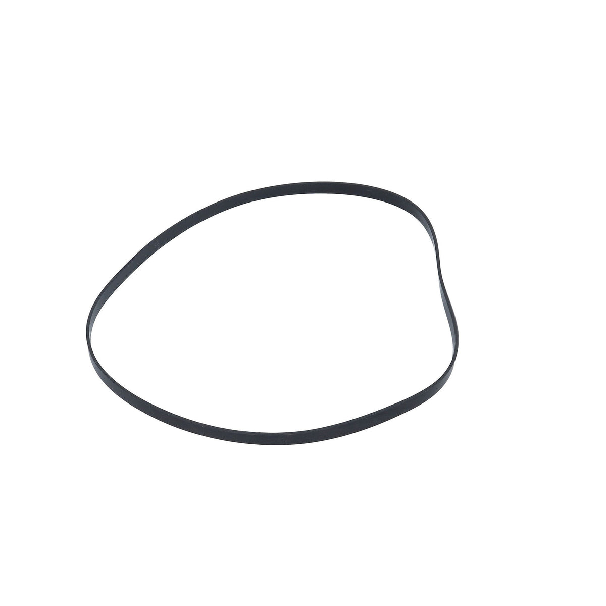 Gasket, Pump Volute, Hayward : SP-1600-T
