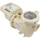 Pump, Pentair IntelliFlo3 VSF, 3.0hp, 208-230v, Var-Spd : 011075