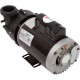 Pump, BWG Vico Ultimax, 3.0hp, 230v, 2-Spd, 56fr, 2", Side Disch : 5235212-S