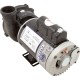 Pump, WW Exec, 3.0hp, 230v, 2-Spd, 56fr, 2", OEM : 3721221-1D