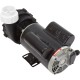 Pump, LX 48WUA, 1.5hp, 115v, 2-Spd, 48Fr, 2" : 48WUA1501C-II