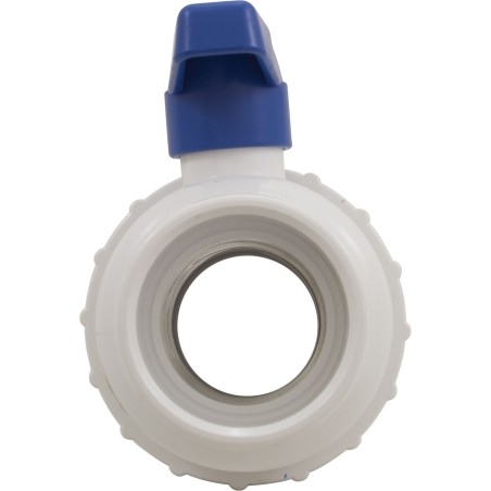 Ball Valve, Praher True Single Union, 2"s x 2"s : 200-010