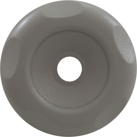 Cap, WW Top Access Diverter Valve, 2", Textured scal, Gray : 602-3597