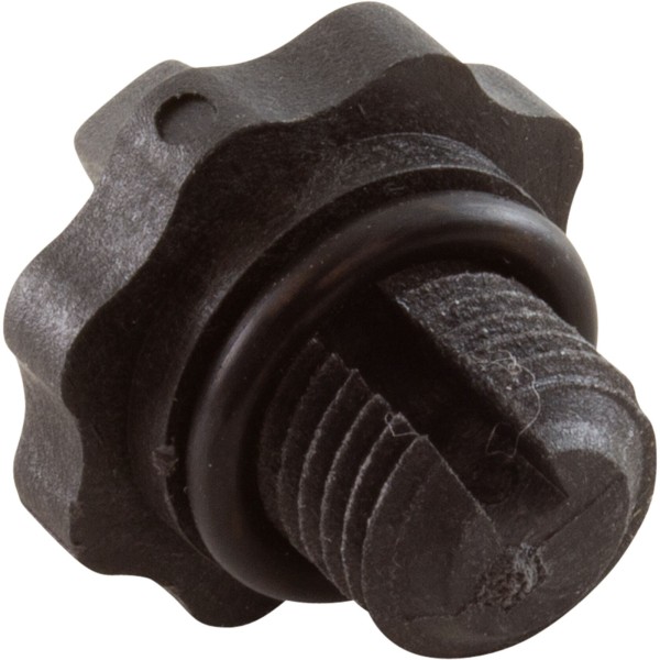 Drain Plug, Carvin, with O-Ring, Quantity 2 : 31-1609-06R2