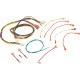 Wire Harness, Raypak RP2100, R185-R405, IID : 005270F