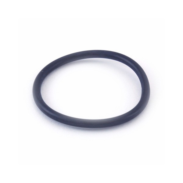 O-RING, FITS WATERWAY MPV : 805-0224