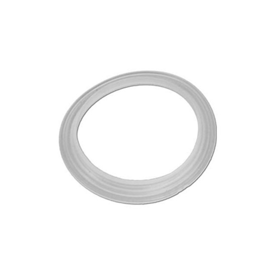 Gasket, Pentair, Cyclone Micro Jet : 959000