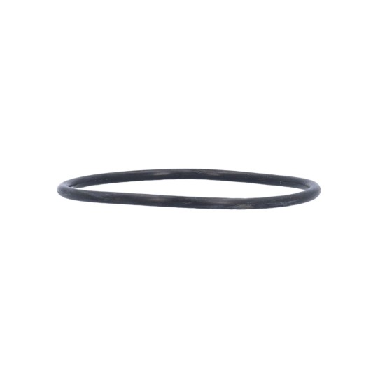 O-Ring, Union, Waterway, 2-1/2" : 805-0232