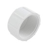 Cap, 1-1/2" Fpt : 448-015