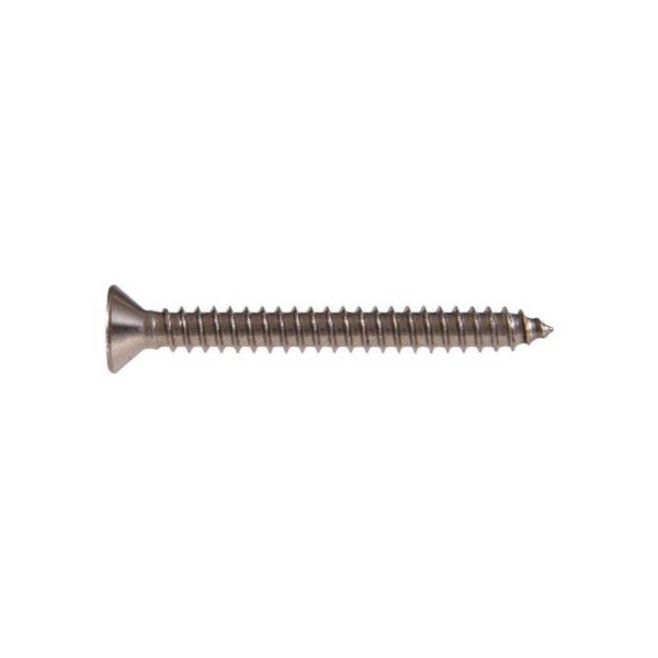 Screws, Saratoga, Filter Door Screws For Saratoga Spa : 70951