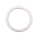 O-Ring, Filter Sock, Maax / LA Spas, Aqua Klean : FD-51104-OW