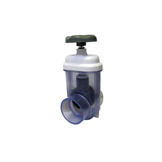 Gate Valve, Waterway, Adjustable Flow, 2"S x 2"S, Clear : 600-2370