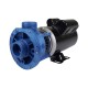 Pump, Aqua-Flo FMCP, .75HP, CD, 48-Frame, 2-Speed, 115V, 7.8/3.2A, 1-1/2"MBT, Unions : 02607000-1010