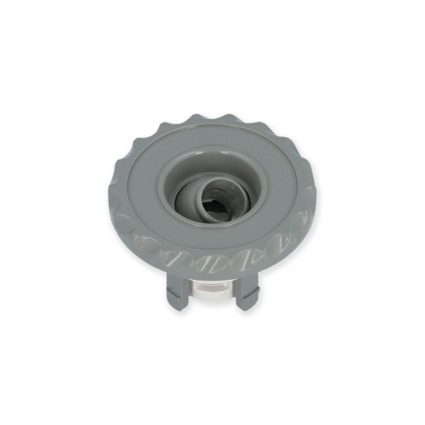 Jet Internal, Waterway Deluxe Mini, Directional, 2-1/2" Face, Gray : 224-1007