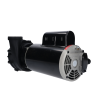 2 HP LX Spa Pump 1 Speed 230V 48WUA2002C-I (NF)