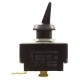 Toggle Switch, Raypak, SPST, 3Amp/6Amp : 100-10000441