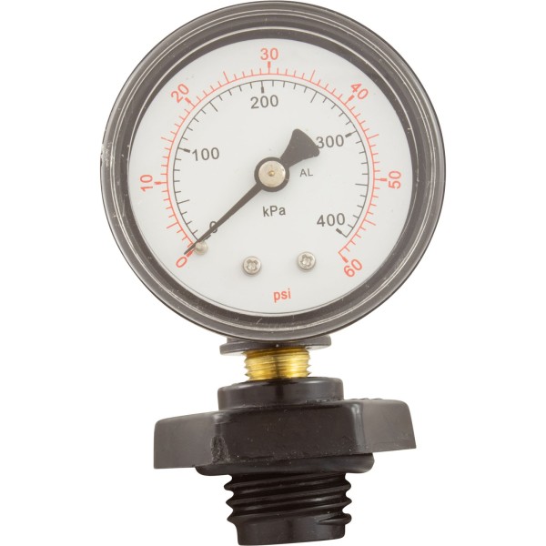 Pressure Gauge Assy, Pentair, System 3, 1/4"mpt, 0-60psi, Back MT : 24850-0105