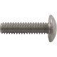 Screw, Clayton Lambert Skimmer, Faceplate : P-2494