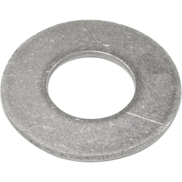 Washer, Pentair THS Series Filter, 3/4", T316, SS : 94860