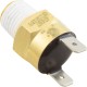 Hi-Limit Switch, Pentair Max-E-Therm/MasterTemp, 1/4" - 18npt : 42001-0063S