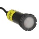 Pool Light, Jandy Nicheless White LED, 6W, 12v, 100ft : JLUW6W100