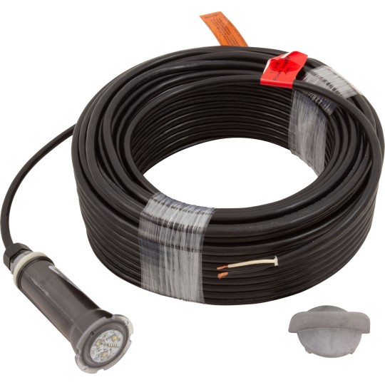 Pool/Spa Light, Pentair GloBrite, Color, 12v, 15W, 150ft Cord : 602056